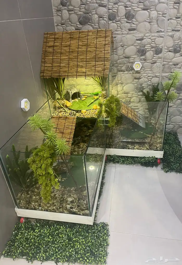 تفصيل احواض سلاحف برمائية 2