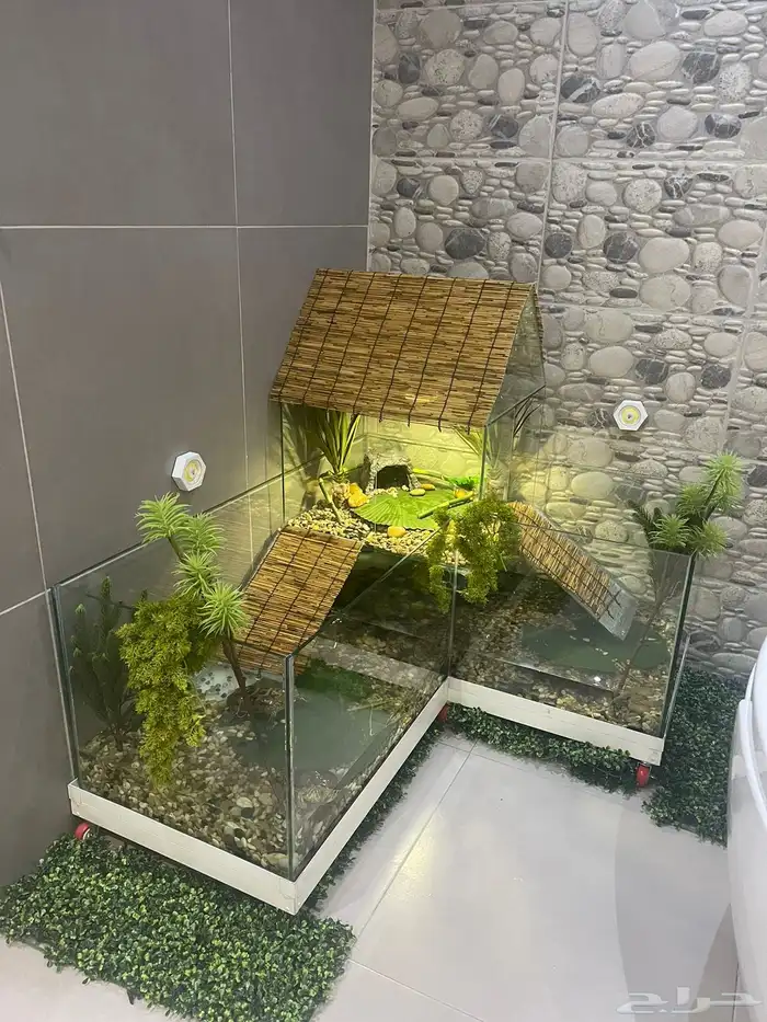 تفصيل احواض سلاحف برمائية 1