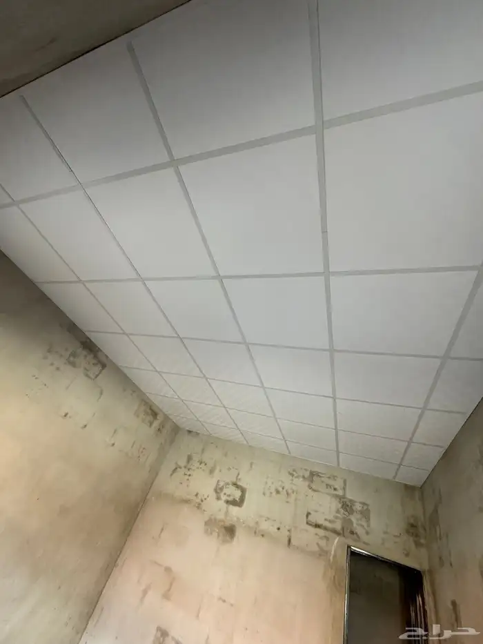 سقف مستعار مربعات 60 60 11