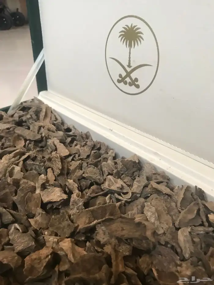 زوايا فيتنامي عود طبيعي عود الجيل القديم 0