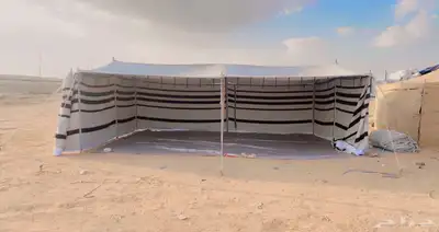 بيوت شعر ابيض عرعر 13