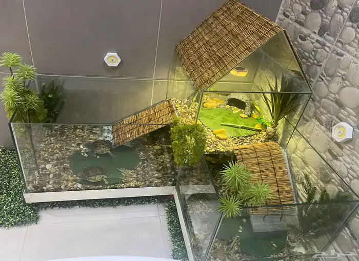 تفصيل احواض سلاحف برمائية 0