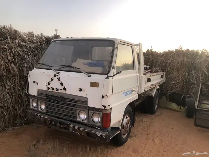 دنا قلابي 1984 0