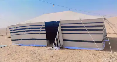 بيوت شعر ابيض عرعر 8
