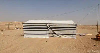بيوت شعر ابيض عرعر 10