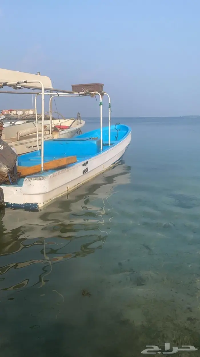قارب كايلو 7 متر للبيع في مرسى القحمة 2