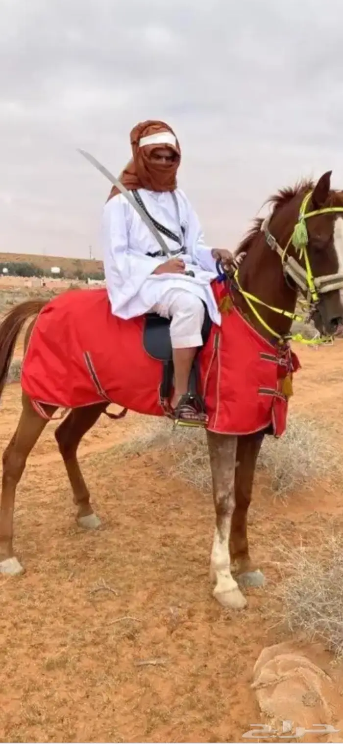 دبابات الايجار 9