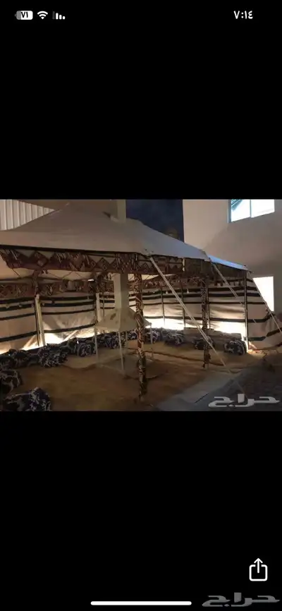 بيوت شعر ابيض عرعر 21