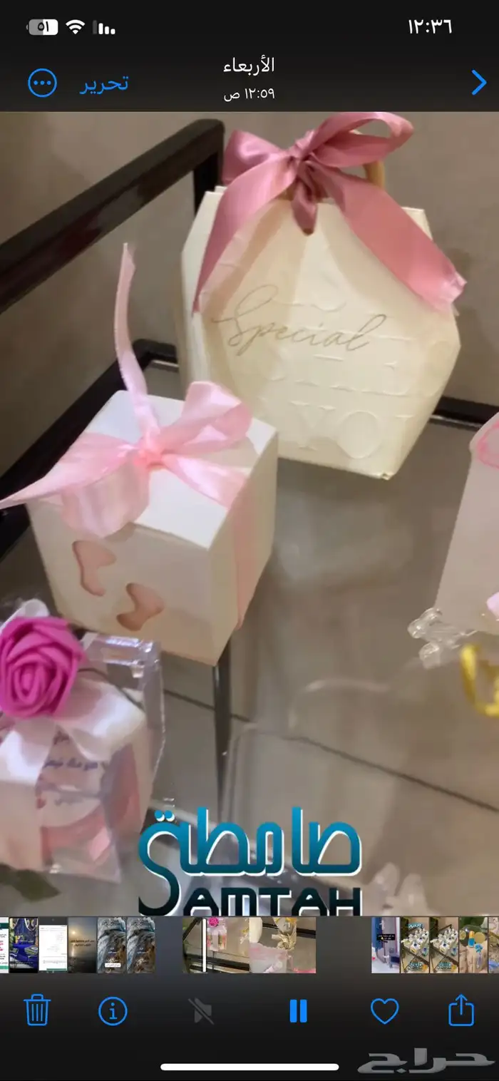 توزيعات مواليد 10