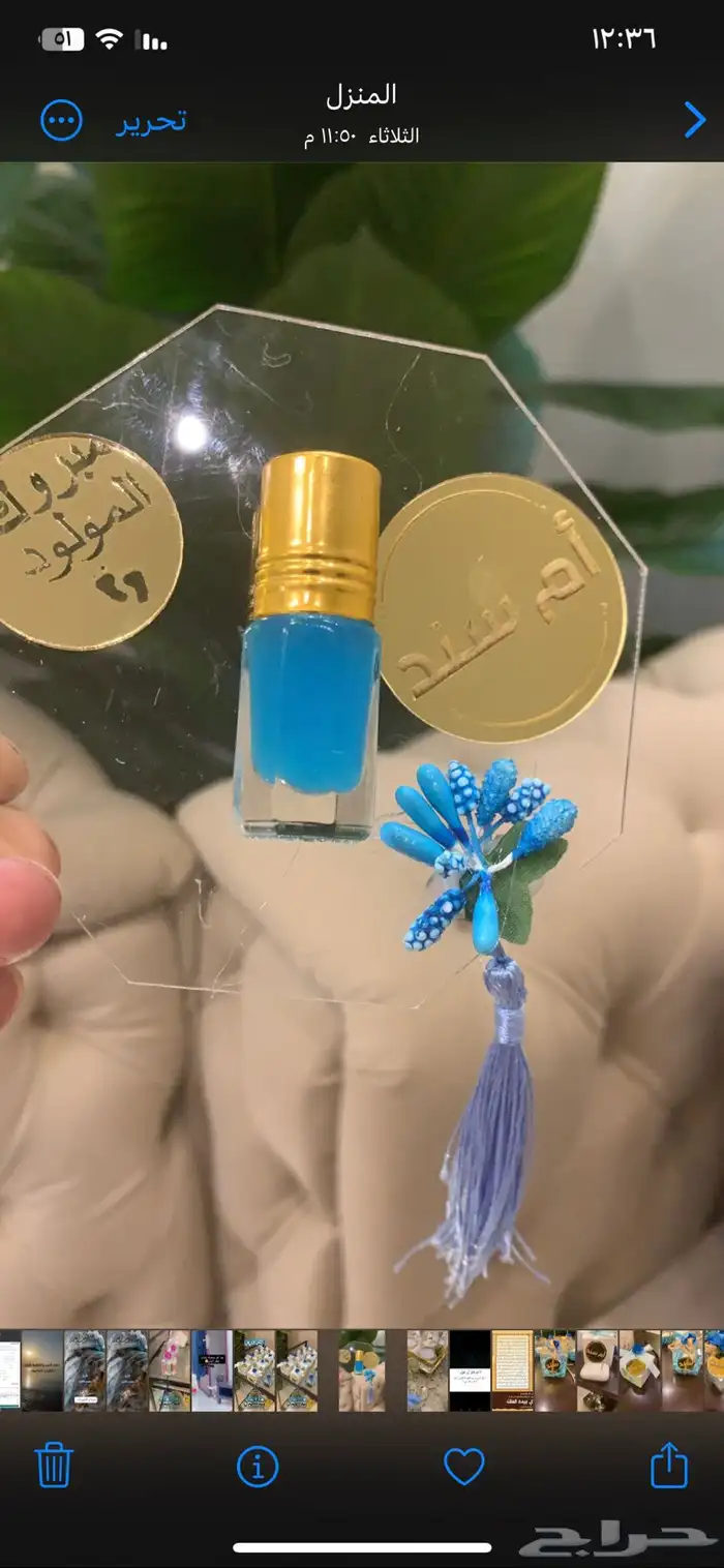 توزيعات مواليد 6