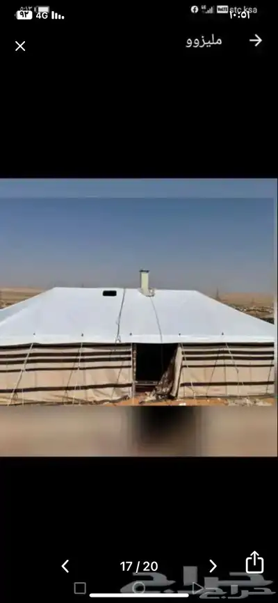 بيوت شعر ابيض عرعر 18