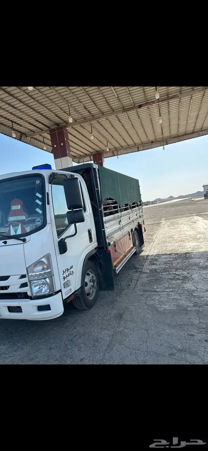 دينا جيزان ابها محايل الباحه الطائف مكة جده الرياض 1
