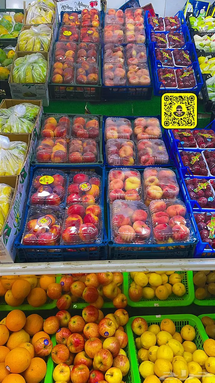 محل الباسل للخضروات والفواكه 14
