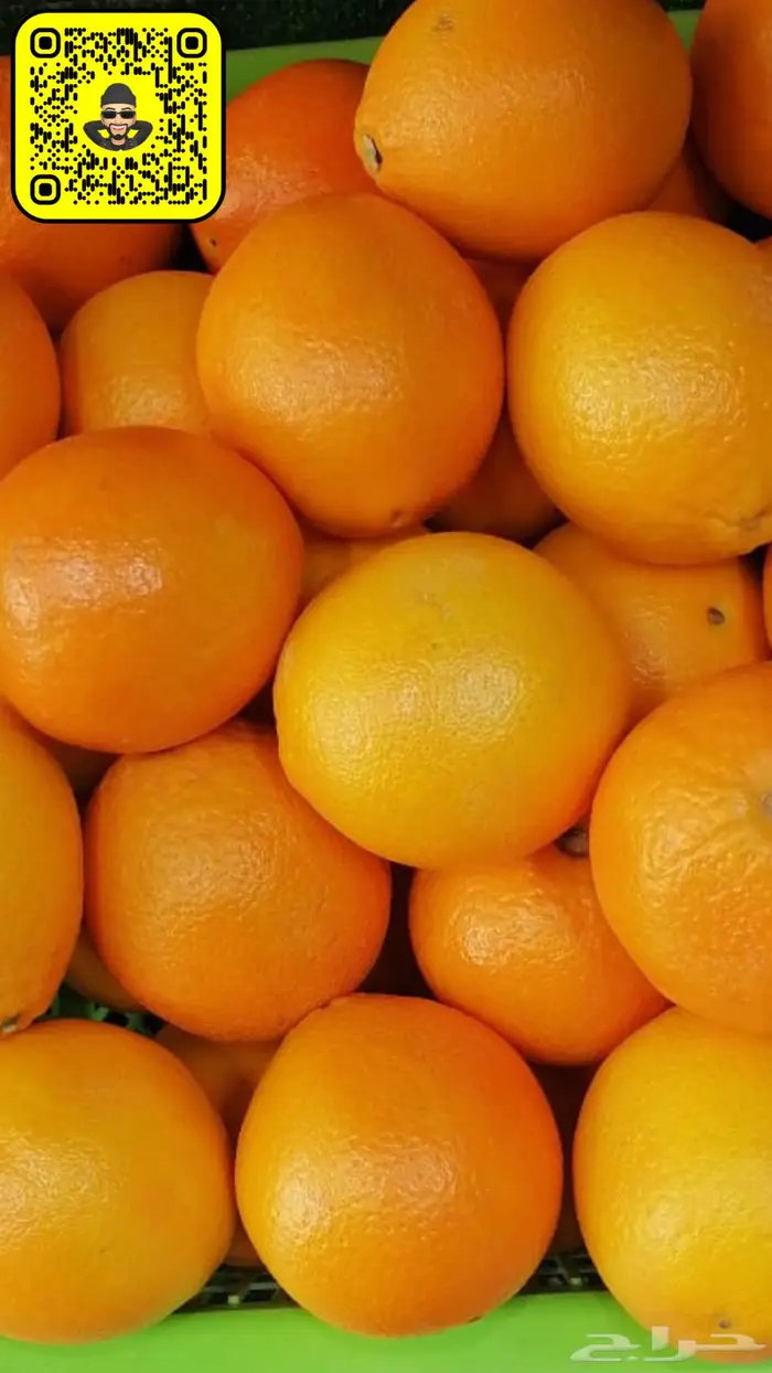 محل الباسل للخضروات والفواكه 6