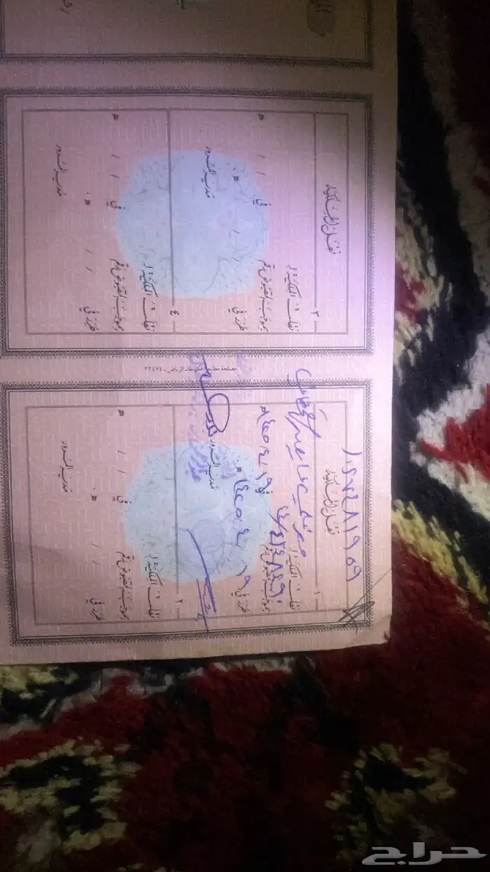 مرسيدس وايت عادي 24 خيارة 7
