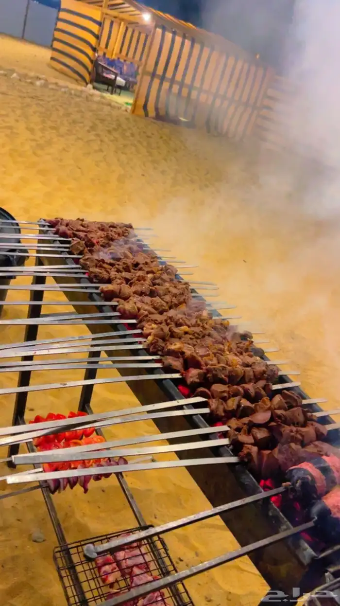 مشويات خارجيه مشاوي متنقل 19