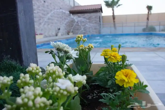 منتجع ليالي الجبيله للايجار اليومي 19