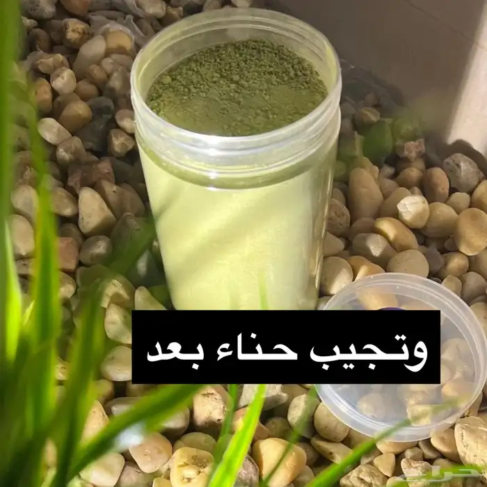 زيت مشاط و مشاط احمر 5