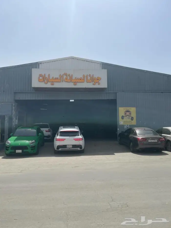 دودة دركسيون التيما 2020 1