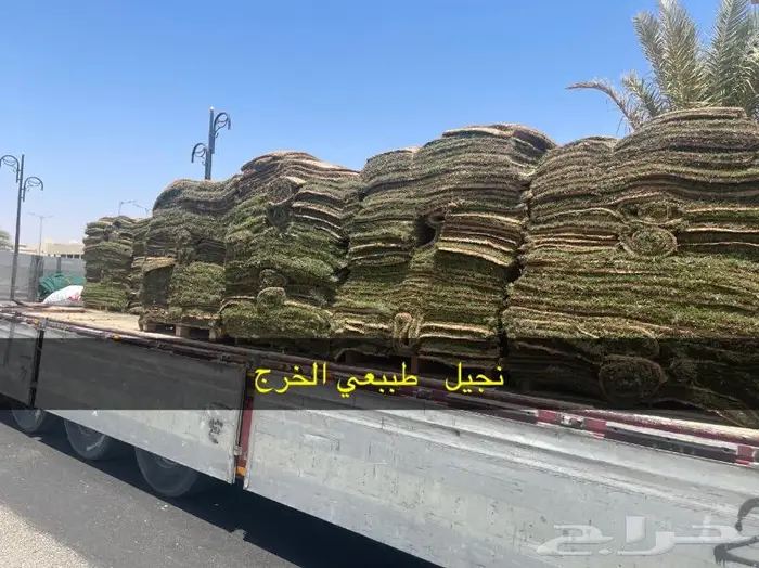 نجيل طبيعي سي 2000 الخرج الحوف 9