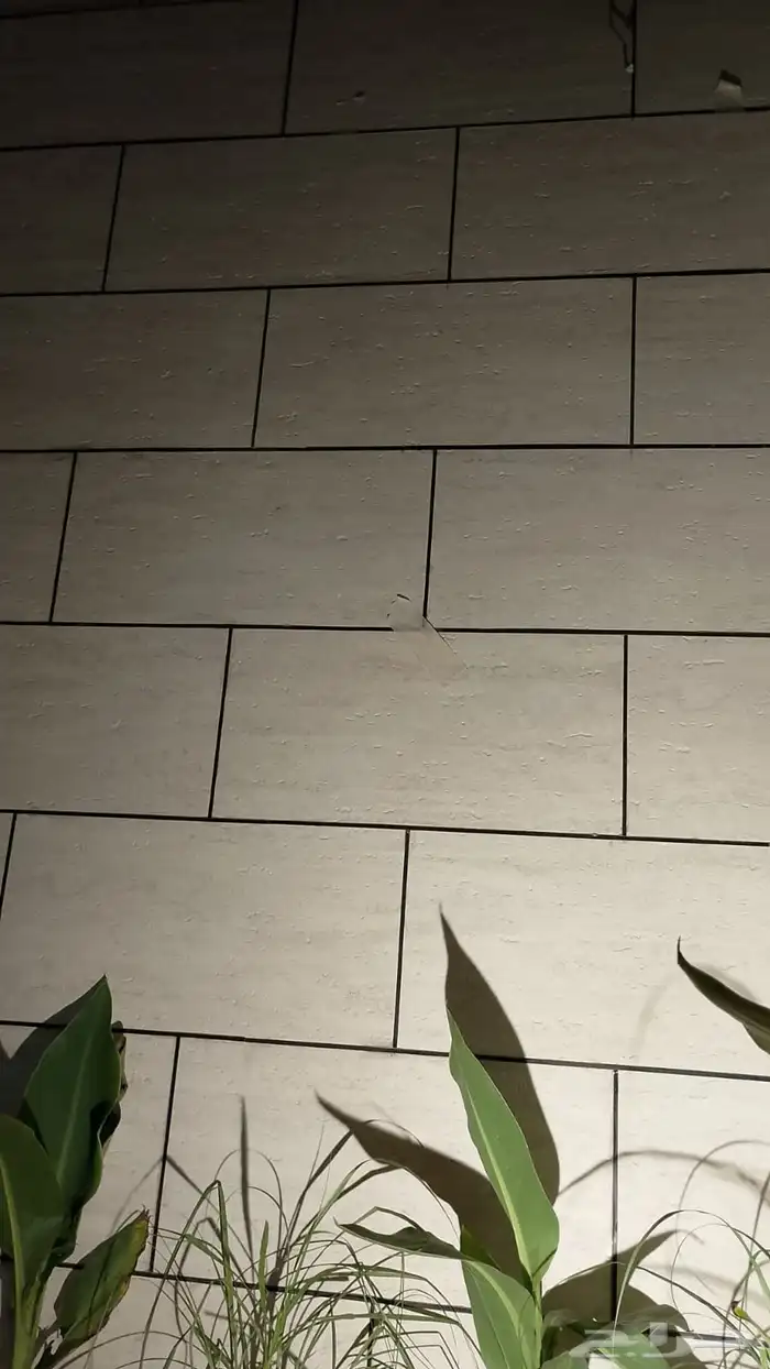 صفايح حجريه 1