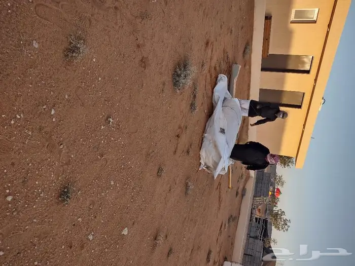 بيوت شعر جميع المقاسات مستلزمات المخيمات 17