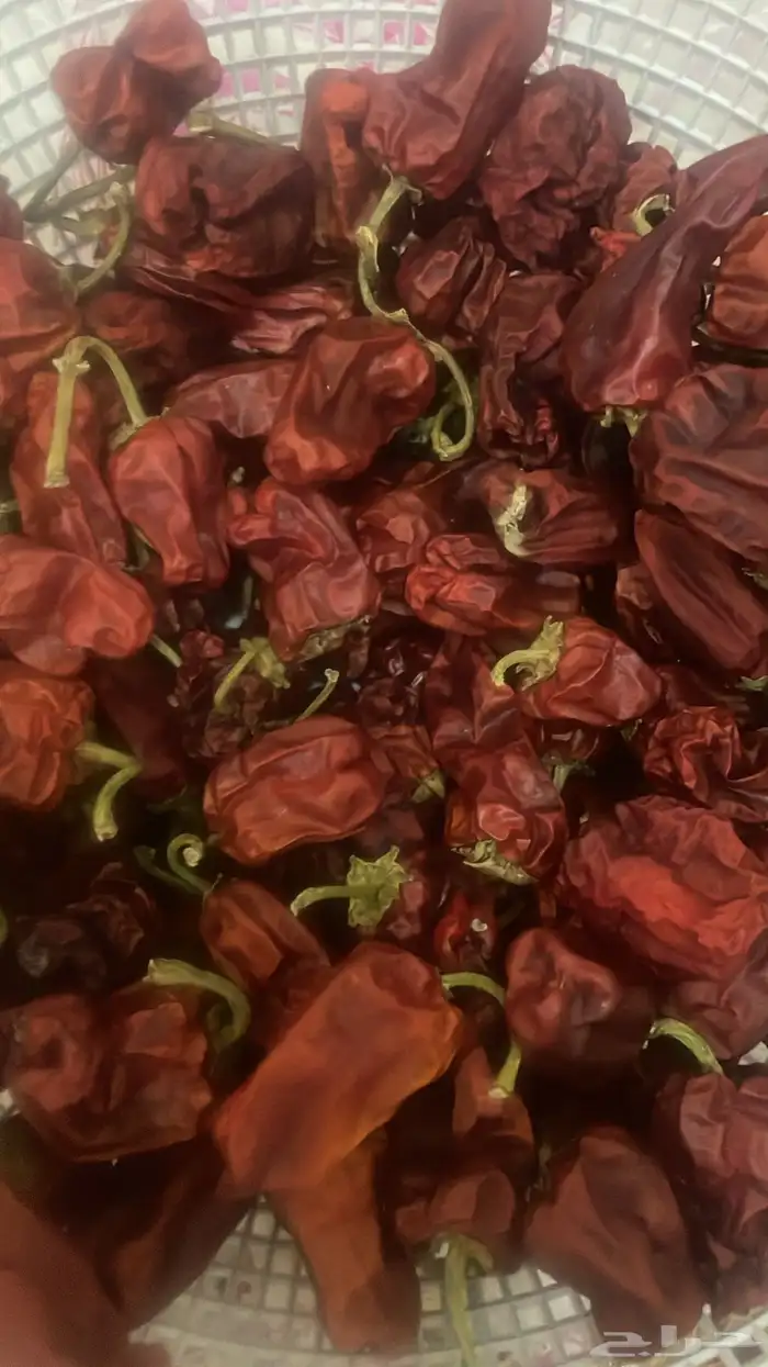 حبحر شقرا مغسول ومجفف ومطحون 4