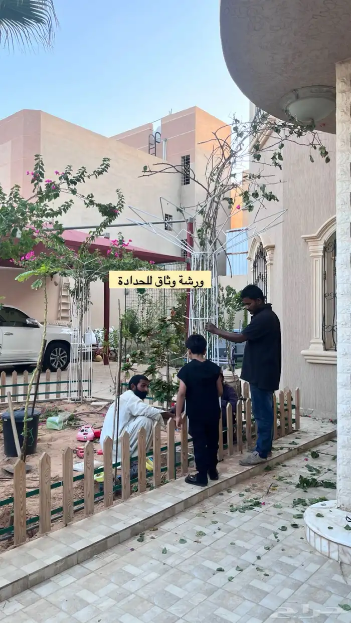استاندات للاشجار المتسلقه 11