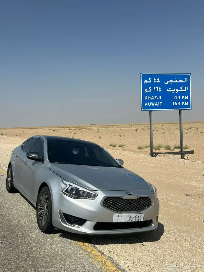 كادينزا 2015 تم البيع 19