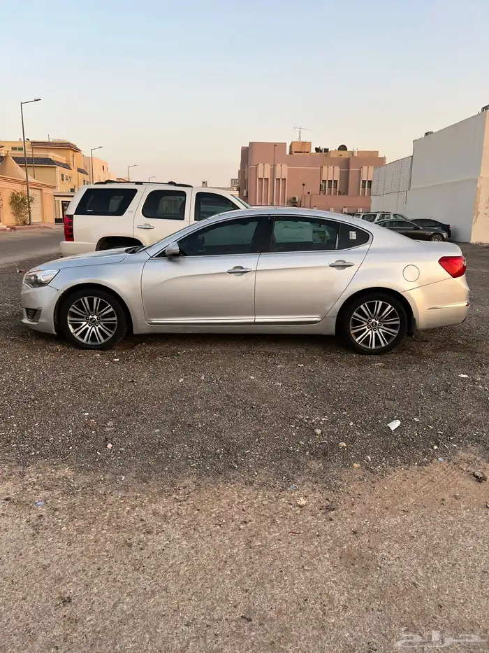 كادينزا 2015 تم البيع 7