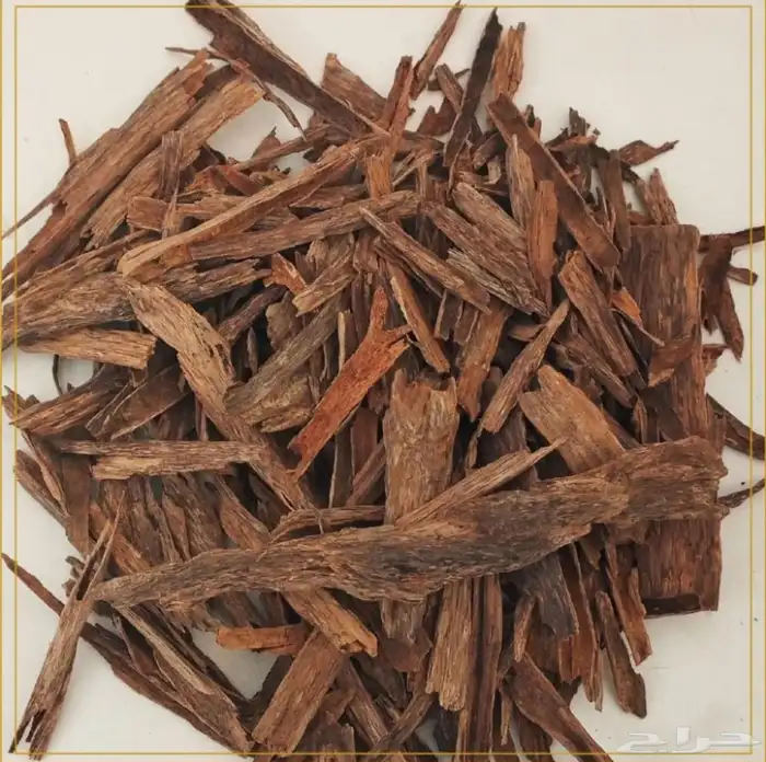 عود هندي سيسور 0