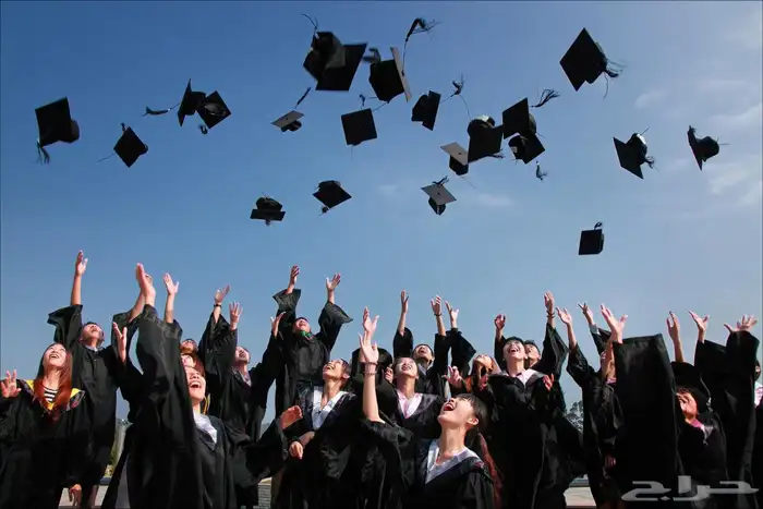 بحث التخرج طريقك نحو طريق النجاح 0