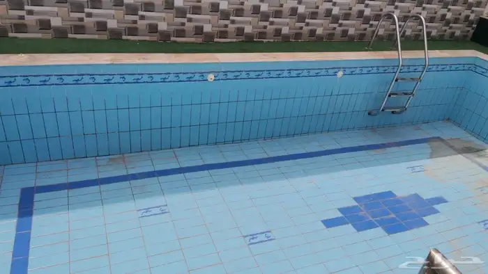 بحره مخطط بن لادن. للبيع 9