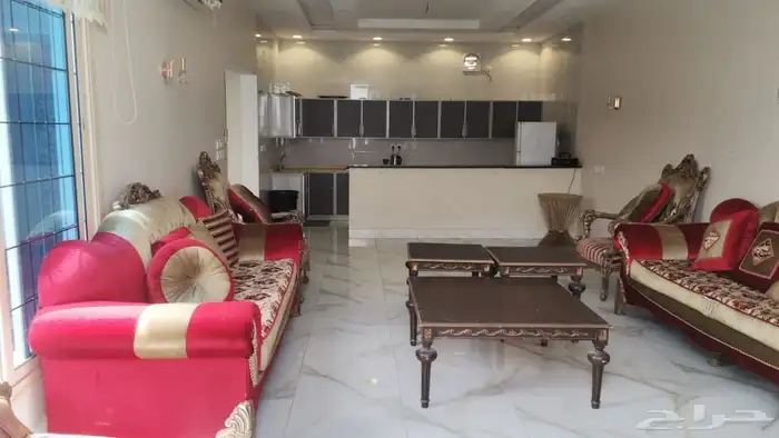 بحره مخطط بن لادن. للبيع 1