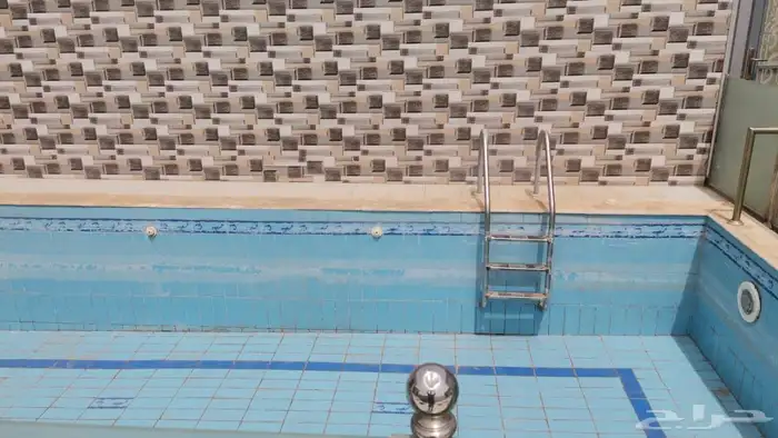 بحره مخطط بن لادن. للبيع 8