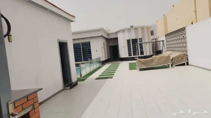 بحره مخطط بن لادن. للبيع 10