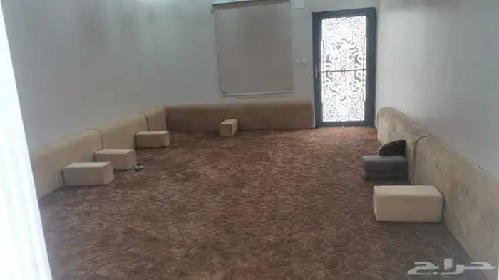 بحره مخطط بن لادن. للبيع 4