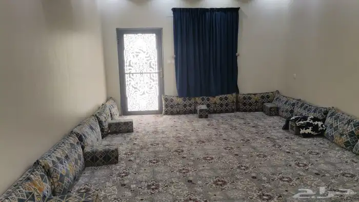 بحره مخطط بن لادن. للبيع 7