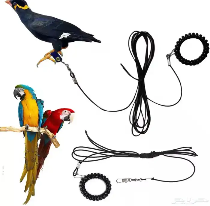 سلسلة لطيور مانعه لطيران مع سواره مريحه ليد 4