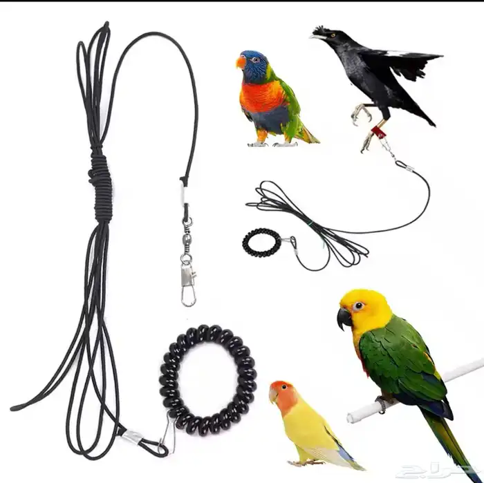 سلسلة لطيور مانعه لطيران مع سواره مريحه ليد 3