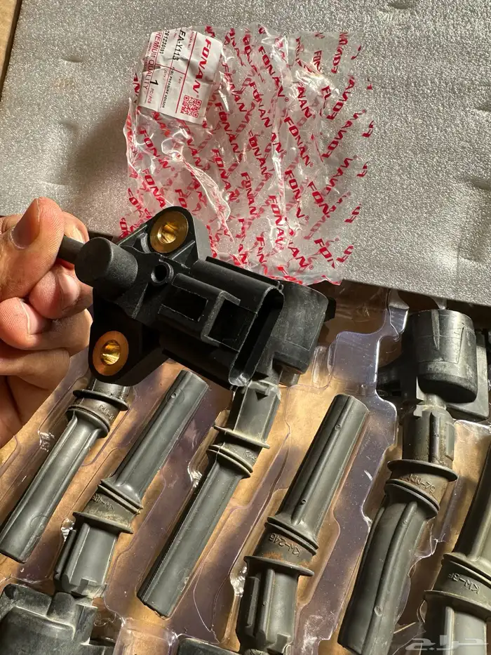 كويلات فورد 2