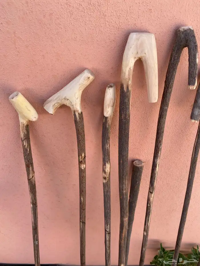 مشاعيب نشم 0