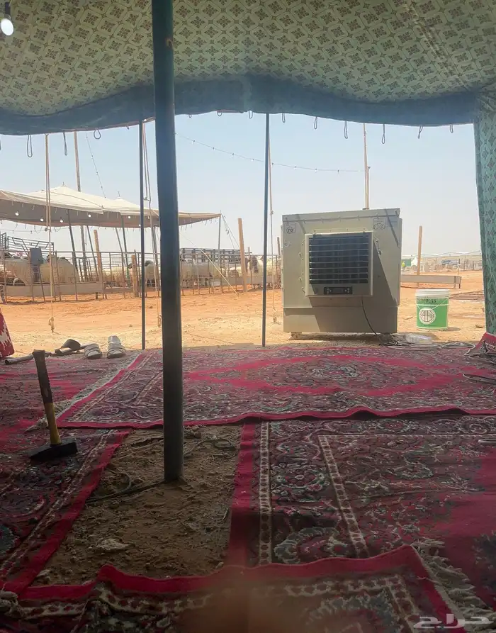 تاجير مخيمات فى مزاد عنيزه 1