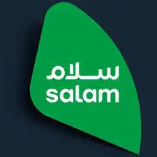 مندوب الياف بصرية 1