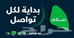 مندوب الياف بصرية 3