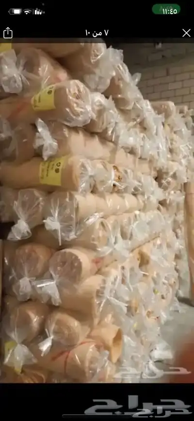 جميع ما يحتاجه المخيمات 23