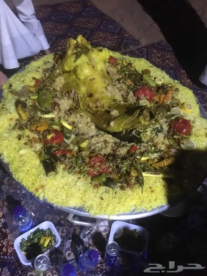 سيارة للرحلات والطلعات البريه بحائل 54
