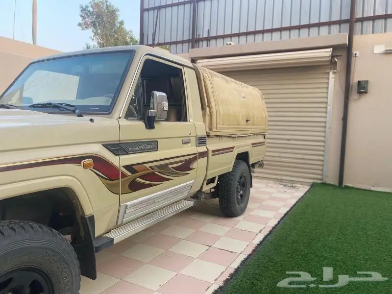 شاص للبيع تيماء تبوك حايل القصيم الرياض 4
