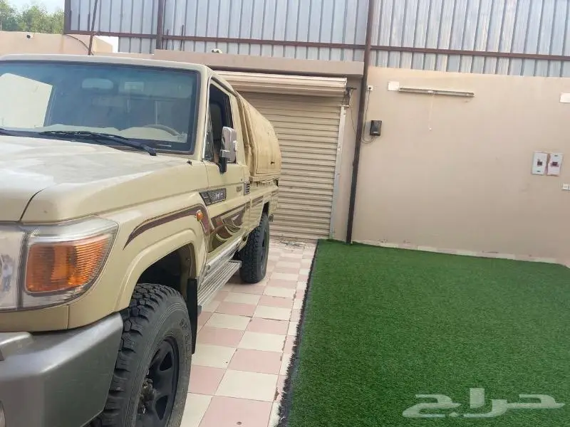 شاص للبيع تيماء تبوك حايل القصيم الرياض 5