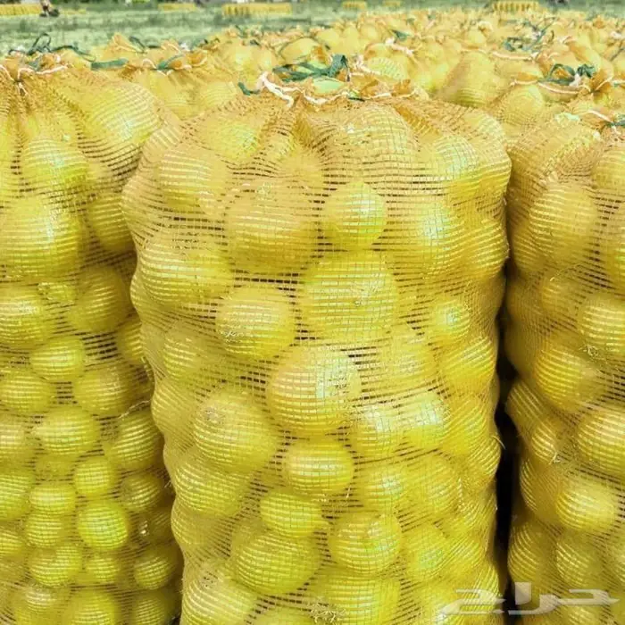 أكياس بطاطس شبكية مقاسات 3